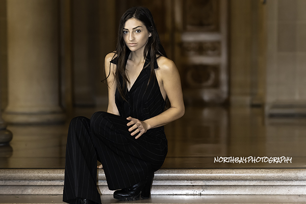 photographers around Healdsburg, Geyserville, Cloverdale, Middletown, Napa, Bodega Bay, Sea Ranch, Santa Rosa, Marin, San Francisco